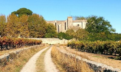 OENORANDO® LE SENTIER DU DRAGON