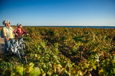 BOUCLE CYCLO N°26 - ÉTANG DE THAU, ABBAYE DE VALMAGNE ET PÉZENAS