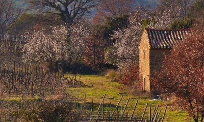 OENORANDO® LES GRANJOTS