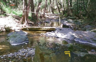 RANDONNEE DE L'ARBORETUM DE  L'ESPAZE