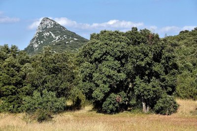 RANDONNEE LE SENTIER DE SAUZET