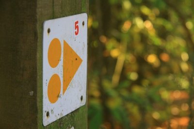 Circuit VTT n°5 "Les Buttes"