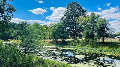 Boucle vélo vignobles et Vallée du Thouet