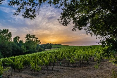 CIRCUIT VTT COMBINE N°50 + 52 + 53