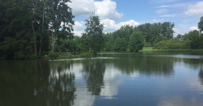 Mansigné - le chemin de Marolles