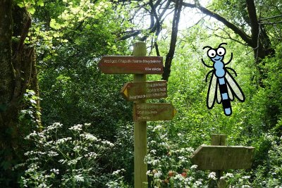 JEU DE PISTE NUMÉRIQUE À  DIVATTE SUR LOIRE AVEC ZÉLIE LA LIBELLULE .