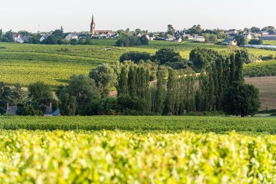 BEAULIEU SUR LAYON - SENTIER D'INTERPRETATION RESERVE NATURELLE REGIONALE - SUR LES PAS DU CHANOINE CORILION