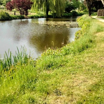 Promenons-nous à Saint-Christophe-du-Bois : sentier du Ruisseau