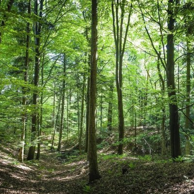 Circuit de randonnée : Les Lavandières