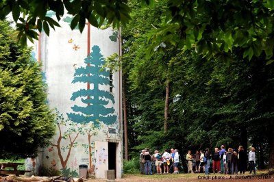 EN FORÊT DE PERSEIGNE