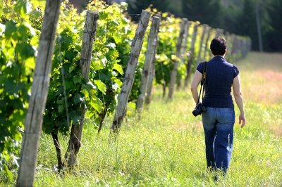Parc de loisirs et d'attractions de l'Etang