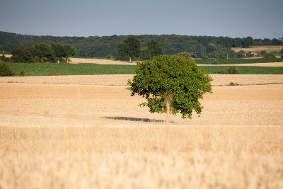 Tour de Saint Pierre
