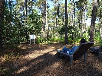 Sentier d'interprétation en forêt de Boudré "La Boucle du Loir"