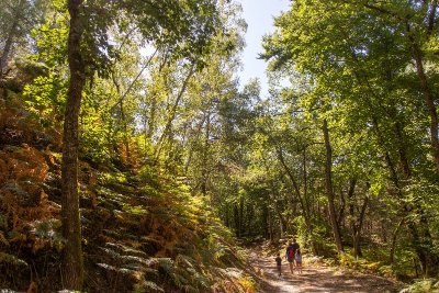 MOULIHERNE - PROMENADE DES AMOUREUX DE L'HISTOIRE ET DE LA NATURE