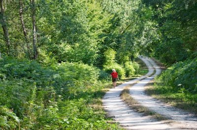 SENTIER DE RANDONNÉE AU COEUR DE LA FORÊT À FONTAINE GUÉRIN