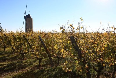 Sentier du ruisseau des Moulins