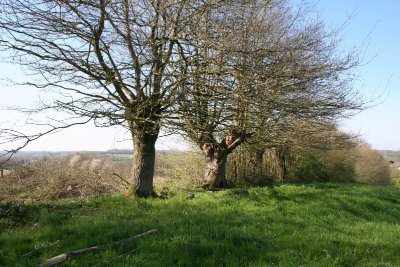 N°38 : La Vallée de l'Étangsort