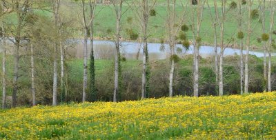 Randonnée "La croix Bourreau, la Brosse et l'Aunay Gontard"
