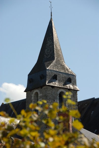 Luceau - le petit bois sacré