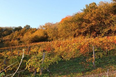 Saint-Germain-du-Val - Circuit du coteau