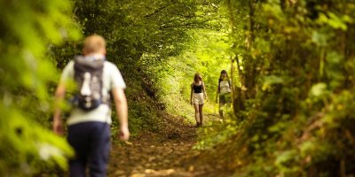 CIRCUIT LE BOIS DU PUY À GREZ-EN-BOUÈRE ET SAINT-CHARLES-LA-FORÊT