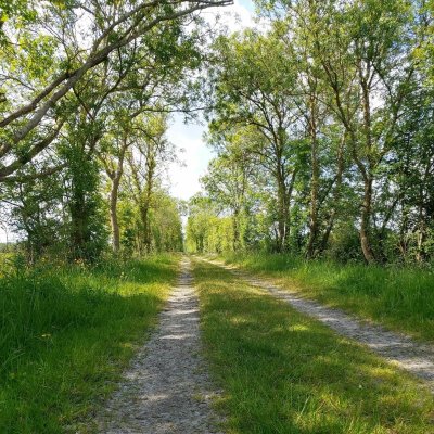 SENTIER DE L'ÉTANG BERNARD