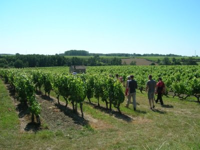 Le Circuit Patrimoine et Vignoble