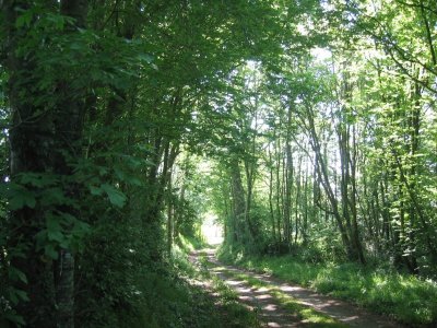 BOUCLE - FICHE N°4 - CIRCUIT DE LA TUILERIE - COURCEBOEUFS