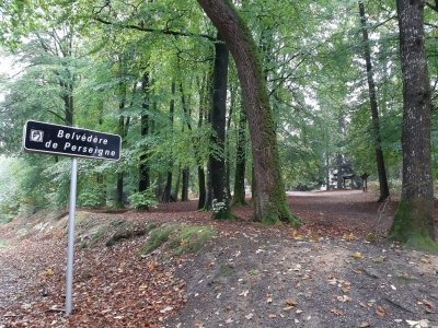 CIRCUIT CYCLOTOURISTIQUE - MAMERS ET LA FORÊT DE PERSEIGNE