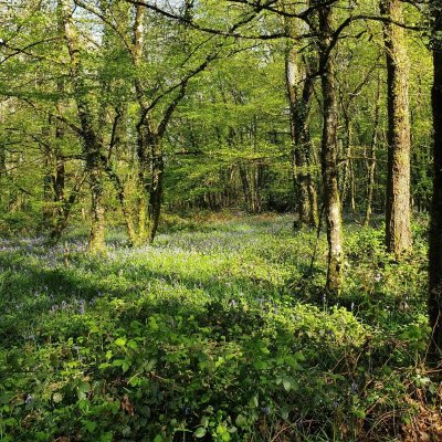 De Vezins à l'étang de Péronne
