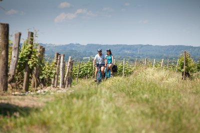 Boucle n°5 : Le vignoble de Jasnières
