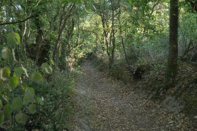 SENTIER DE RANDONNEE LA DOT FERRIERE A FOUGERÉ