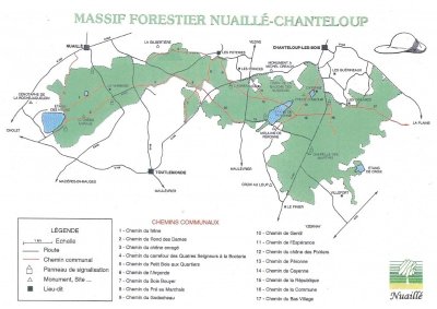 Chemin du Chêne Enragé et Rond des Dames