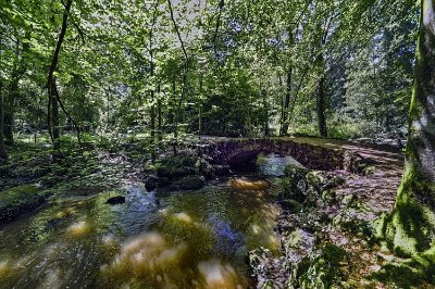 PONTMAIN - RANDONNÉE - CIRCUIT DU CHÂTEAU DE MAUSSON - N°20