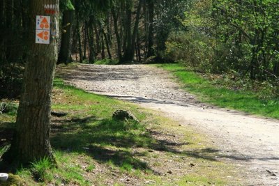 Circuit VTT n°1 "Le Champ des Pas"