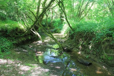Randonnée de l'Oyon