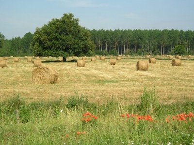 Circuit PR "Le Carrouge"