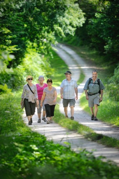 SENTIER DE RANDONNÉE À CHIGNÉ