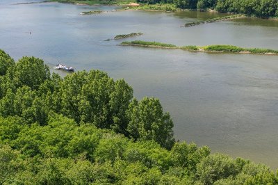 Balade interactive Baludik "En quête de plantes"