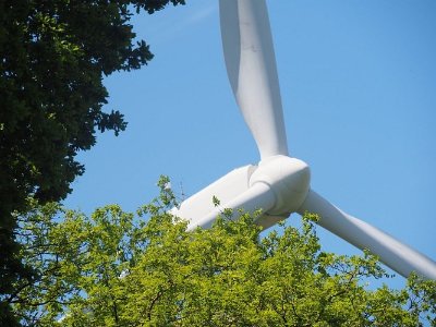 BOUCLE DES BRUYERES (N°107)