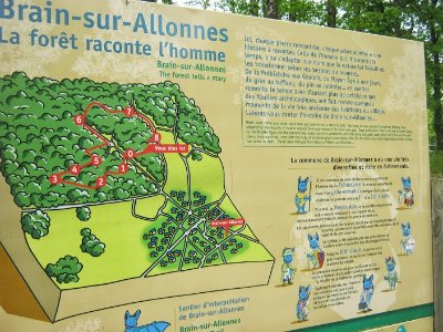 LA FORÊT RACONTE L'HOMME