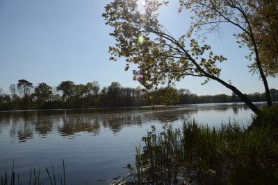 Randonnée "Aux abords de la Thévinière"