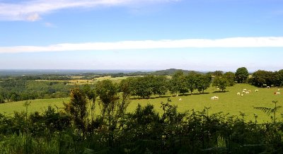 CIRCUIT SUR LES CRÊTES D'HAMBERS - N°38