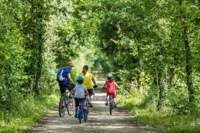 Boucle vélo manoirs et forêts du Baugeois