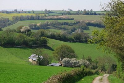 Circuit VTT n°7 "Tour de la Forêt de Pail"