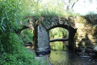 Circuit des Jonquilles