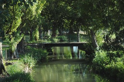 Dissay-sous-Courcillon - Circuit de Vauperon