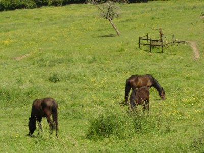Aux confins du Perche Sarthois (Croix Champagne)