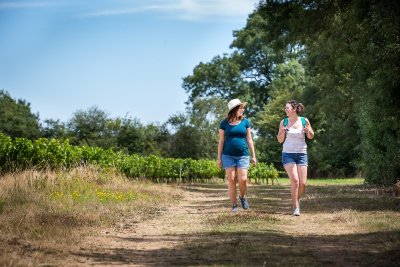 Circuit Safari et Tenu