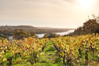 Boucle vélo entre Anjou et Pays Nantais
